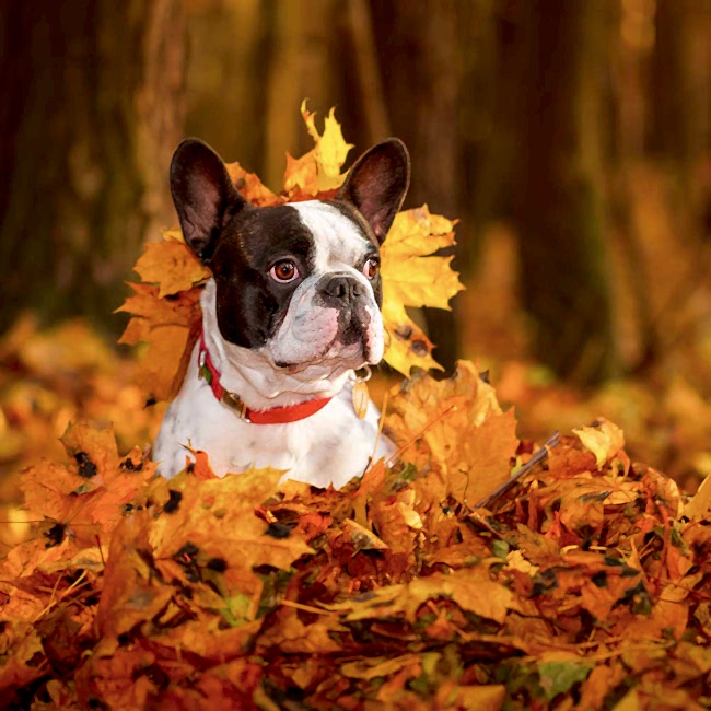 Moving into Winter, One Step at a Time