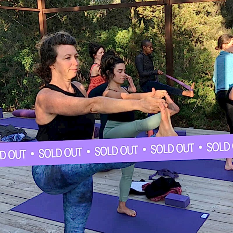 Yogarise 200-hour Vinyasa Yoga Teacher Training